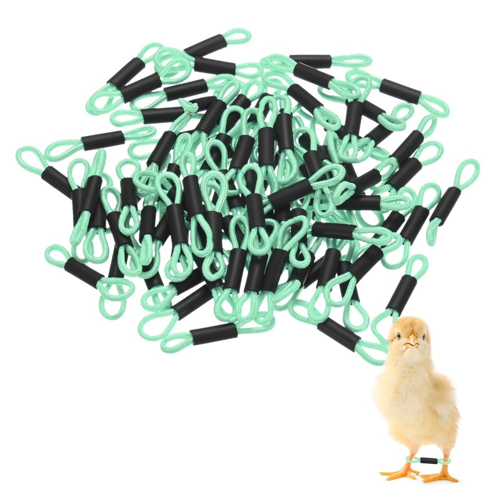 100-Pack Polyester Chick Leg Bands for Poultry/Chicks/Birds [Green]