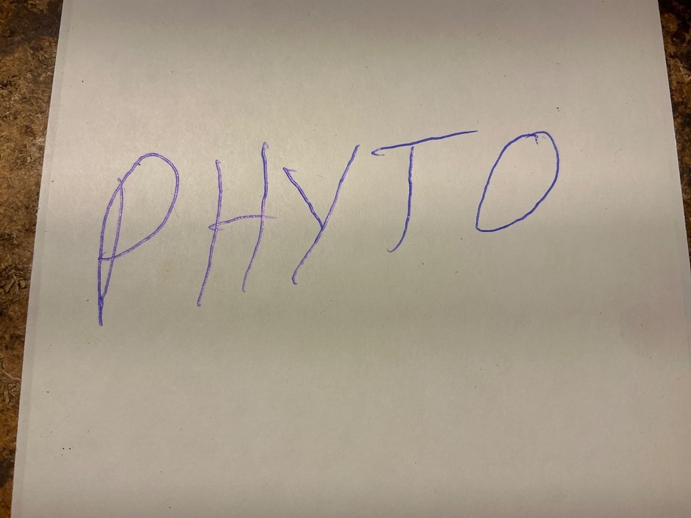 PHYTO