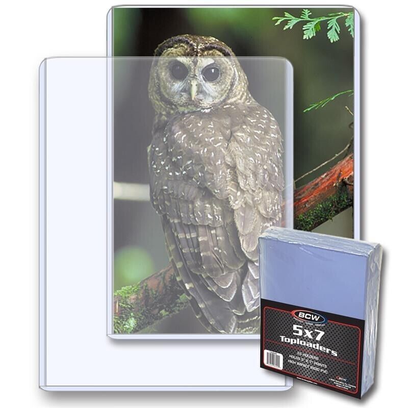 BCW Toploaders 5x7 Hard Plastic Rigid Holder (25 per pack)