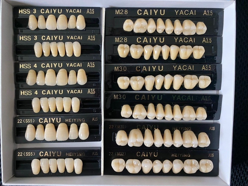 3 Complete Sets High Quality Acrylic Denture Teeth The Same color Different Size