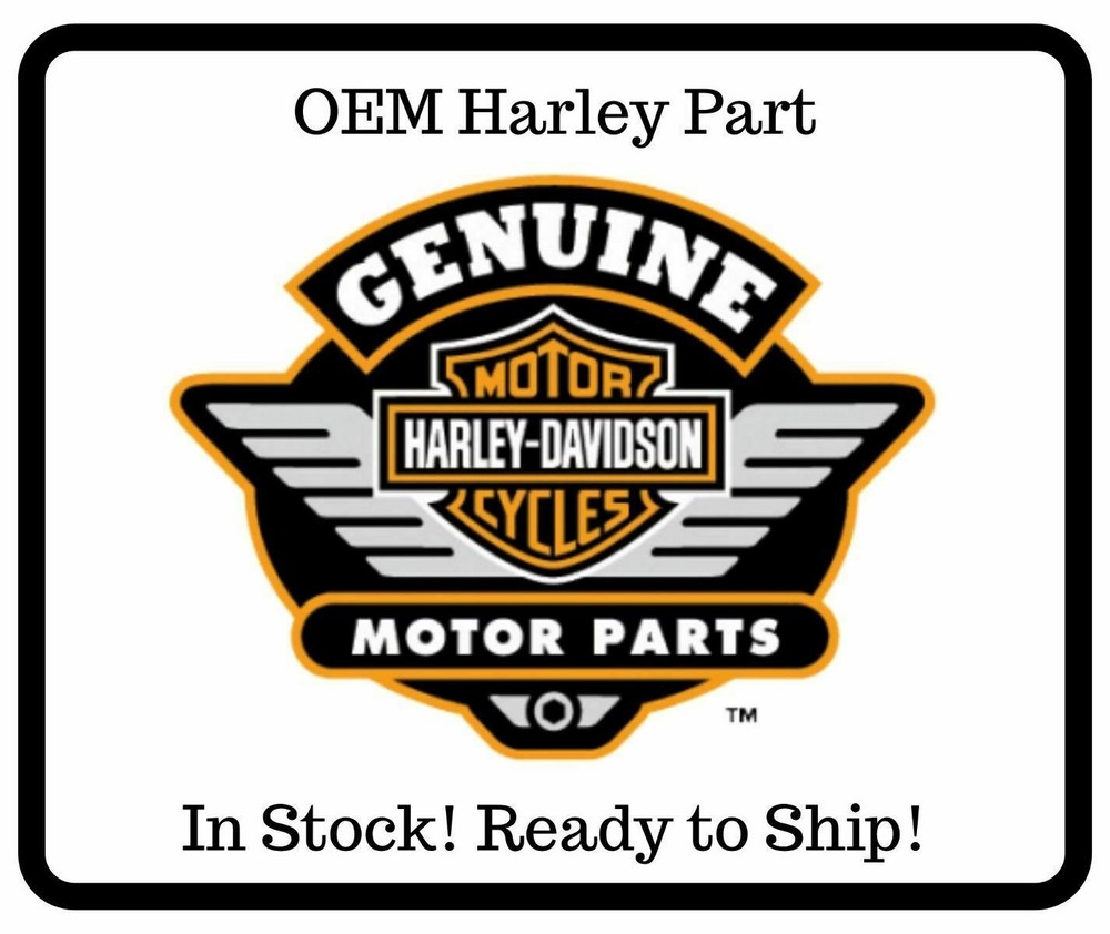 Harley-Davidson Ignition Switch Knob Insert Genuine OEM 76609-10
