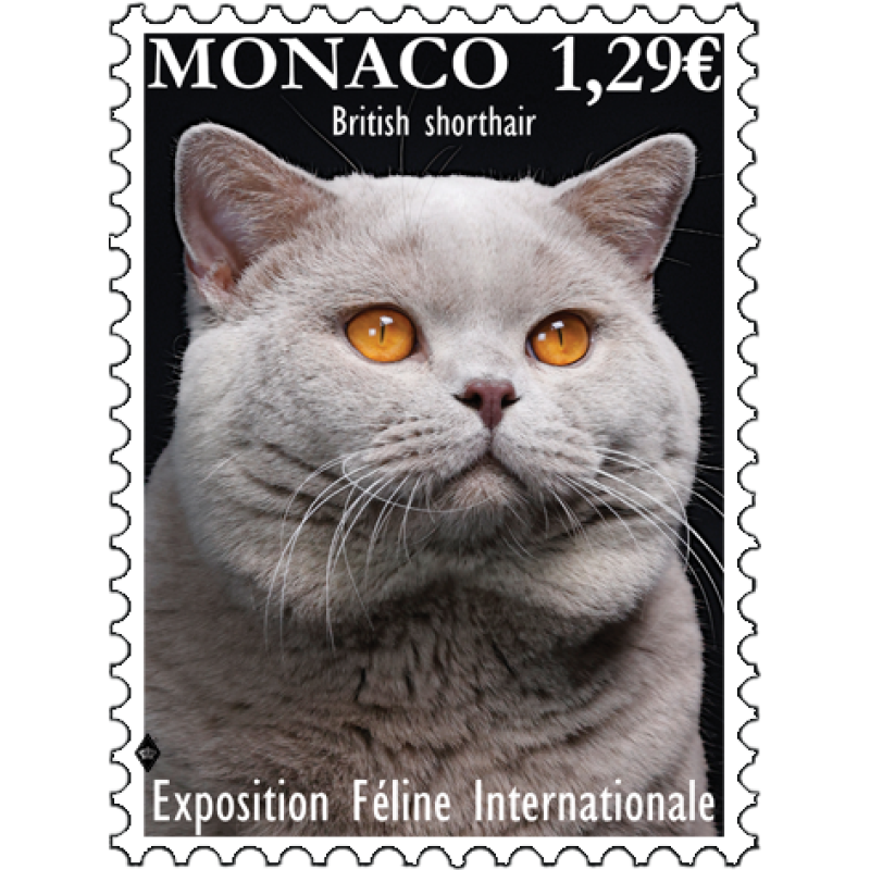 Monaco - International Cat Show 2024