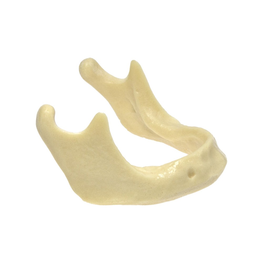 Dental Implant Mandible Jaw Model Basic Drilling Insertion Practice M2022