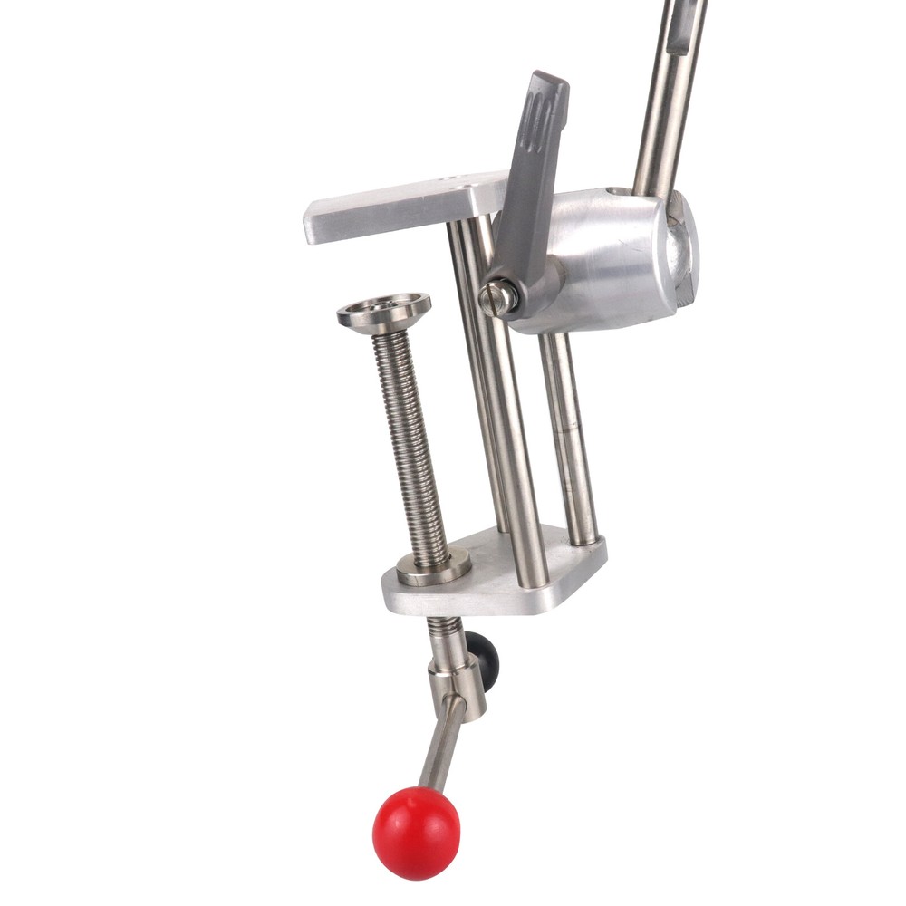 Dental Phantom Head Model&Replacement Manikin Teeth Silicone Model Fixed on Desk