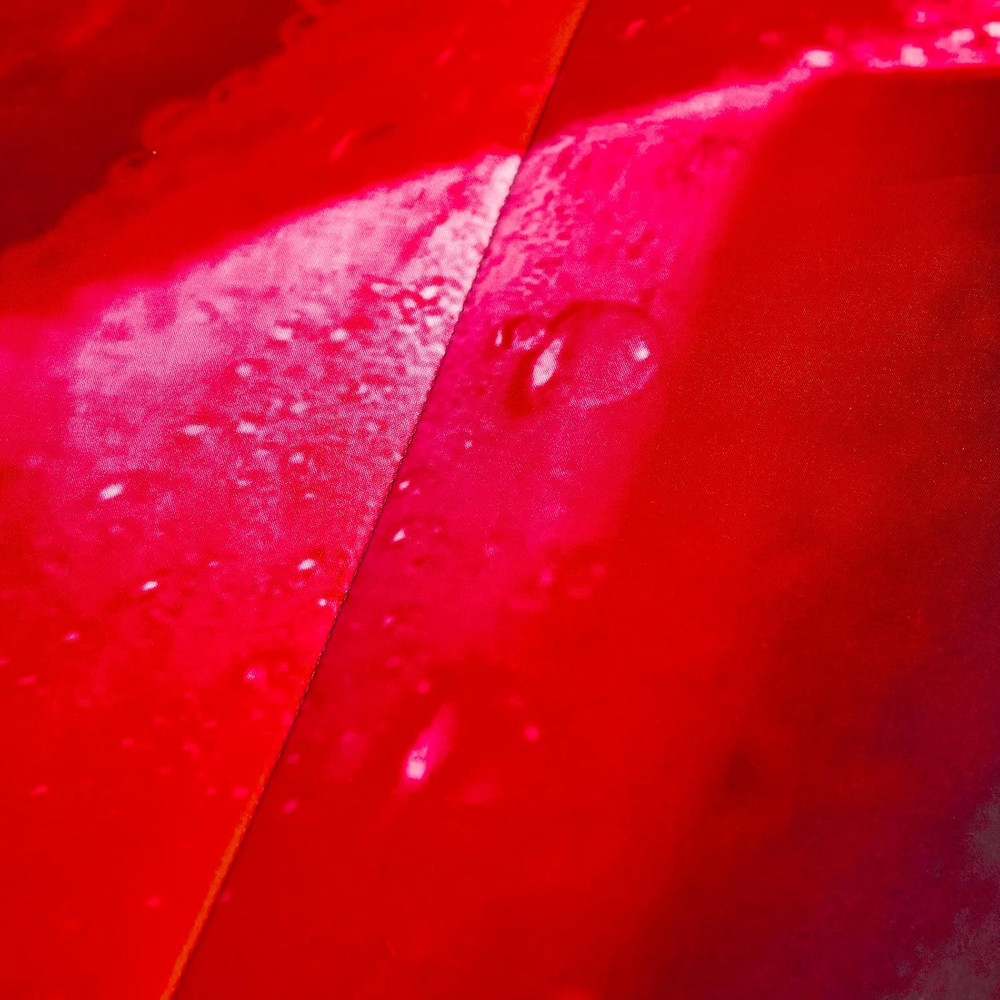 Red Comforter Set Queen Reversible Red Rose Pattern Printed Bedding down Comfort