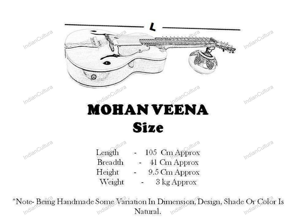 CUSTOM MOHAN VEENA GREAT SIDE WEISSENBORN STYLE MAX STRING PRESSURE
