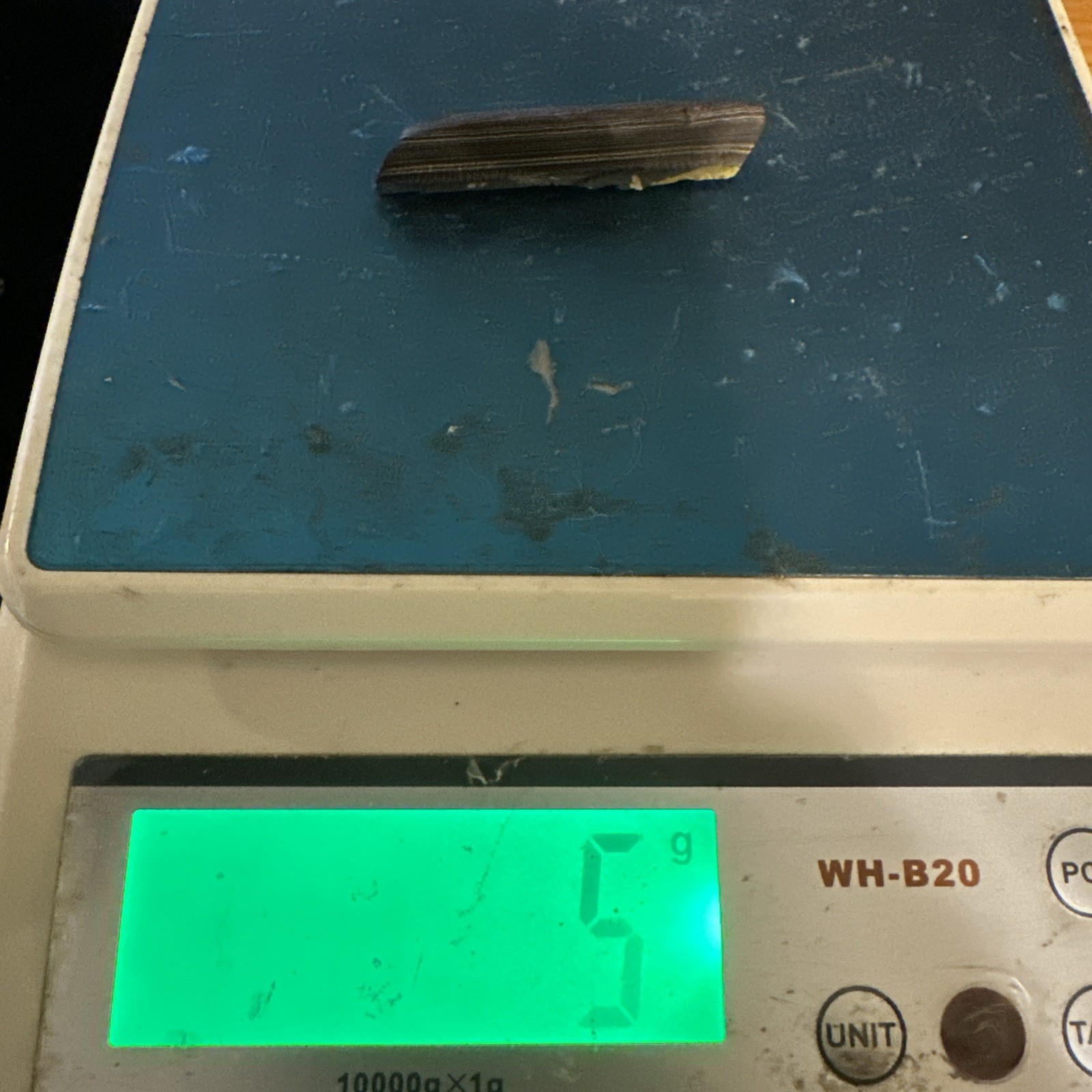 Corvette Fordite specimen from Bowlinggreen Kentucky early 2000s