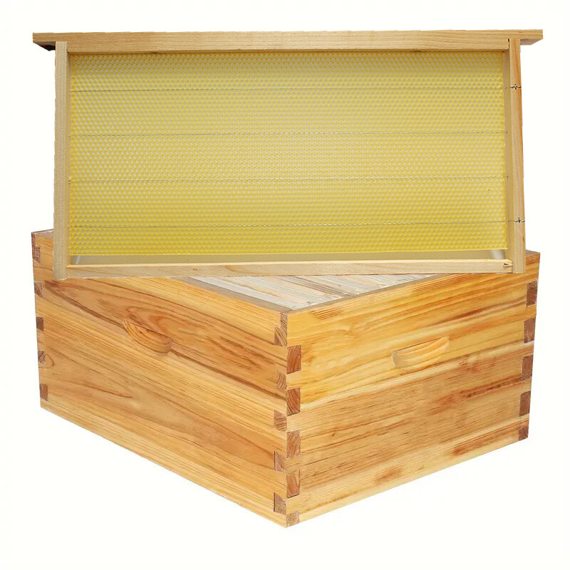 20PCS Bee Wax Foundation Hive Frames Foundation Deep Comb Bee Hive With Wire