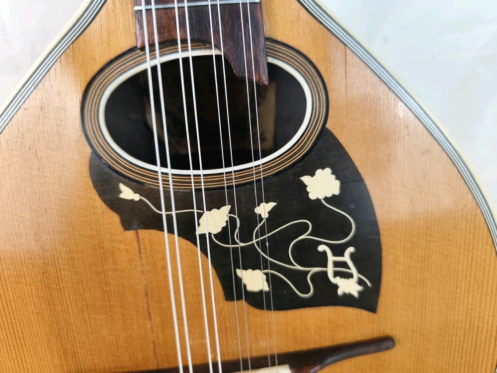 Mandolin 4/4 Herm Hauser 1924 Munich 曼陀林 만돌린マンドリン