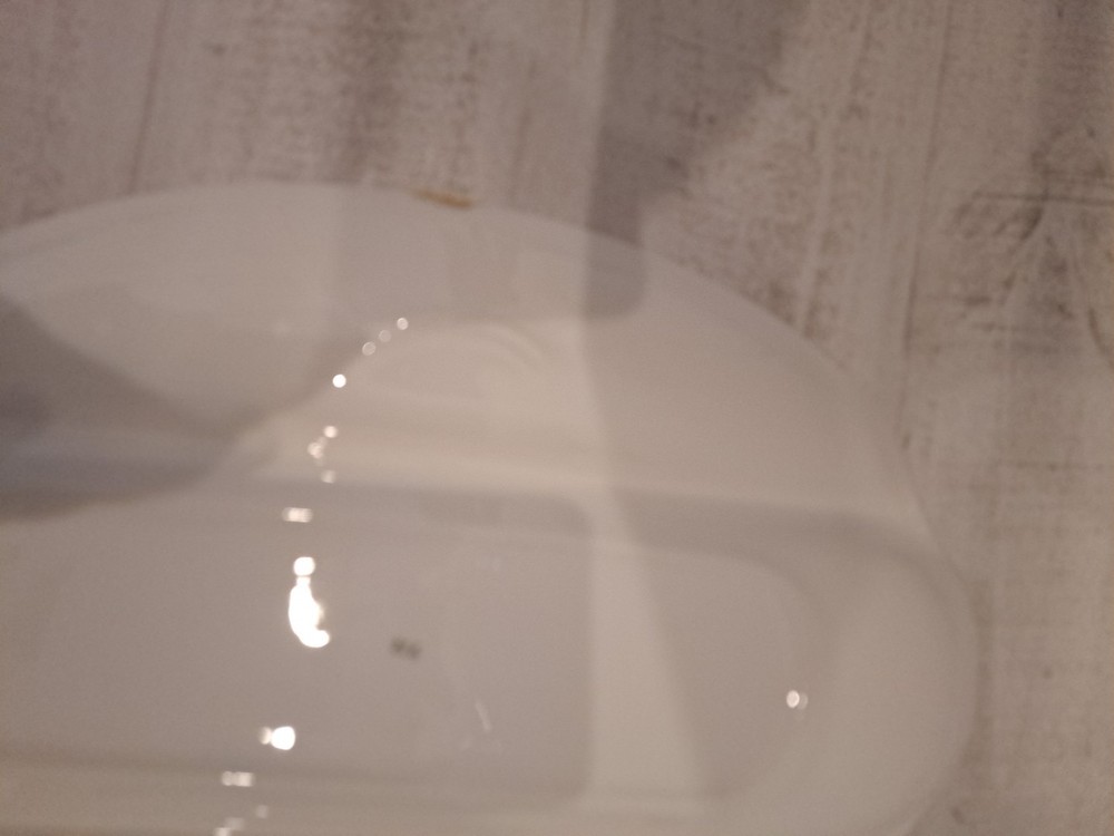 Lefton Rose Americana Serving Dishes