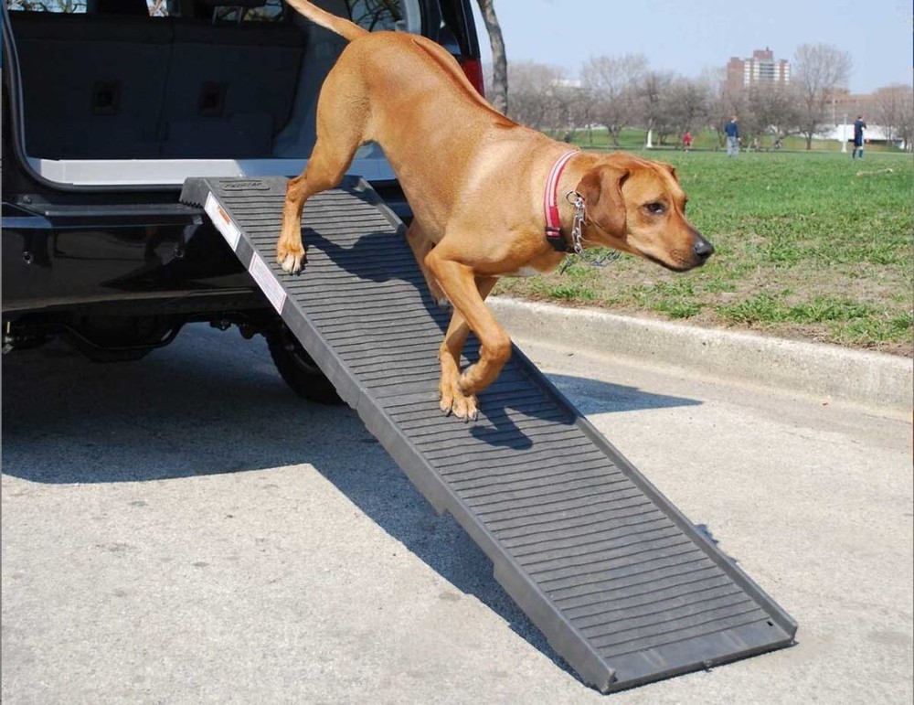 PetStep Folding Pet Ramp - Graphite