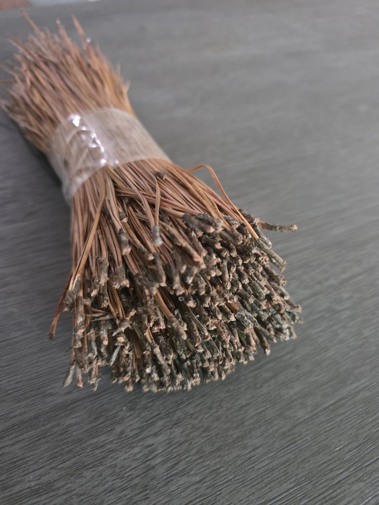 Loblolly Pine Leaf Pine Needles 9" for Basket Making Basketry 4oz per Bundle