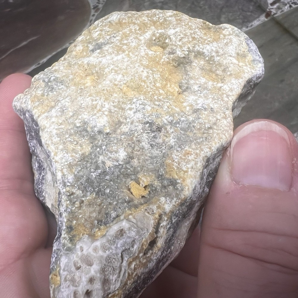 Bumblebee Jasper Rough - Display Specimen - 366 grams