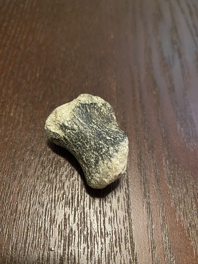 Ancient Fossil, Bone, Unusual, Age Unknown, Very Old, REAL!