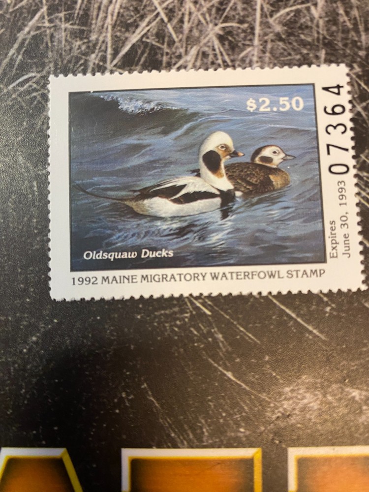 1992 Maine State Duck Stamp,