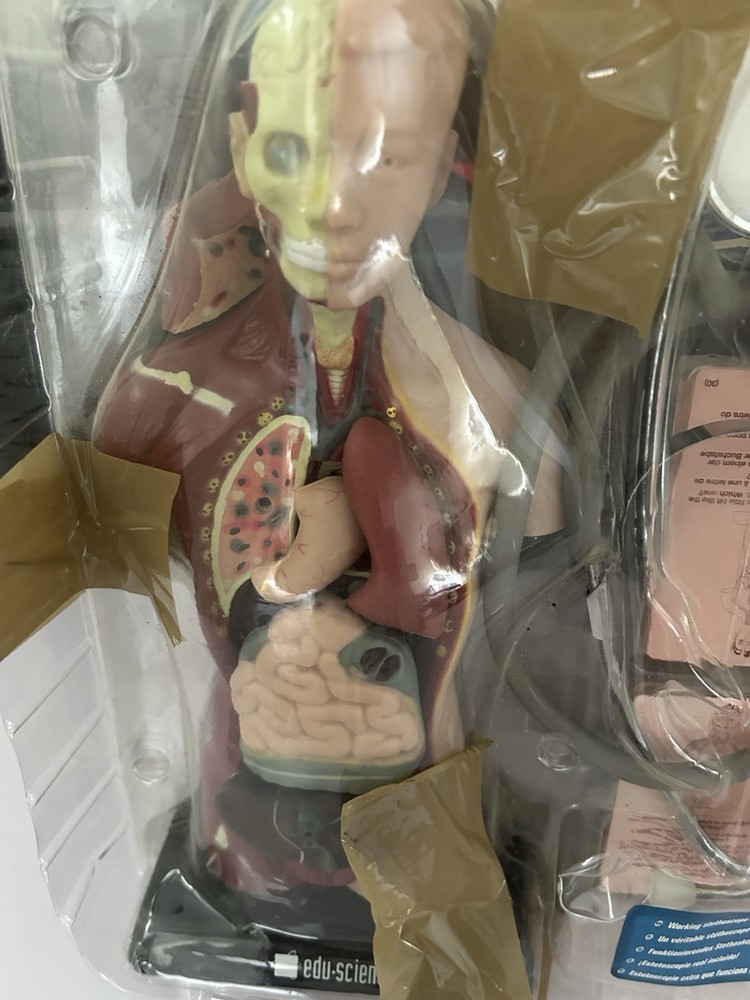 Human Biology Teaching Tips