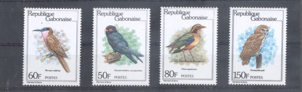 (705988) Brids, Owl, Gabon