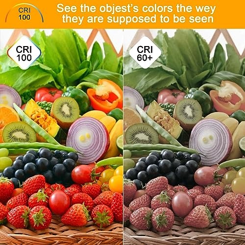 G8 Halogen Light Bulbs 35W 120V T4 JCD Type G8 Base 2 Pin Xenon 35W-12 Pack