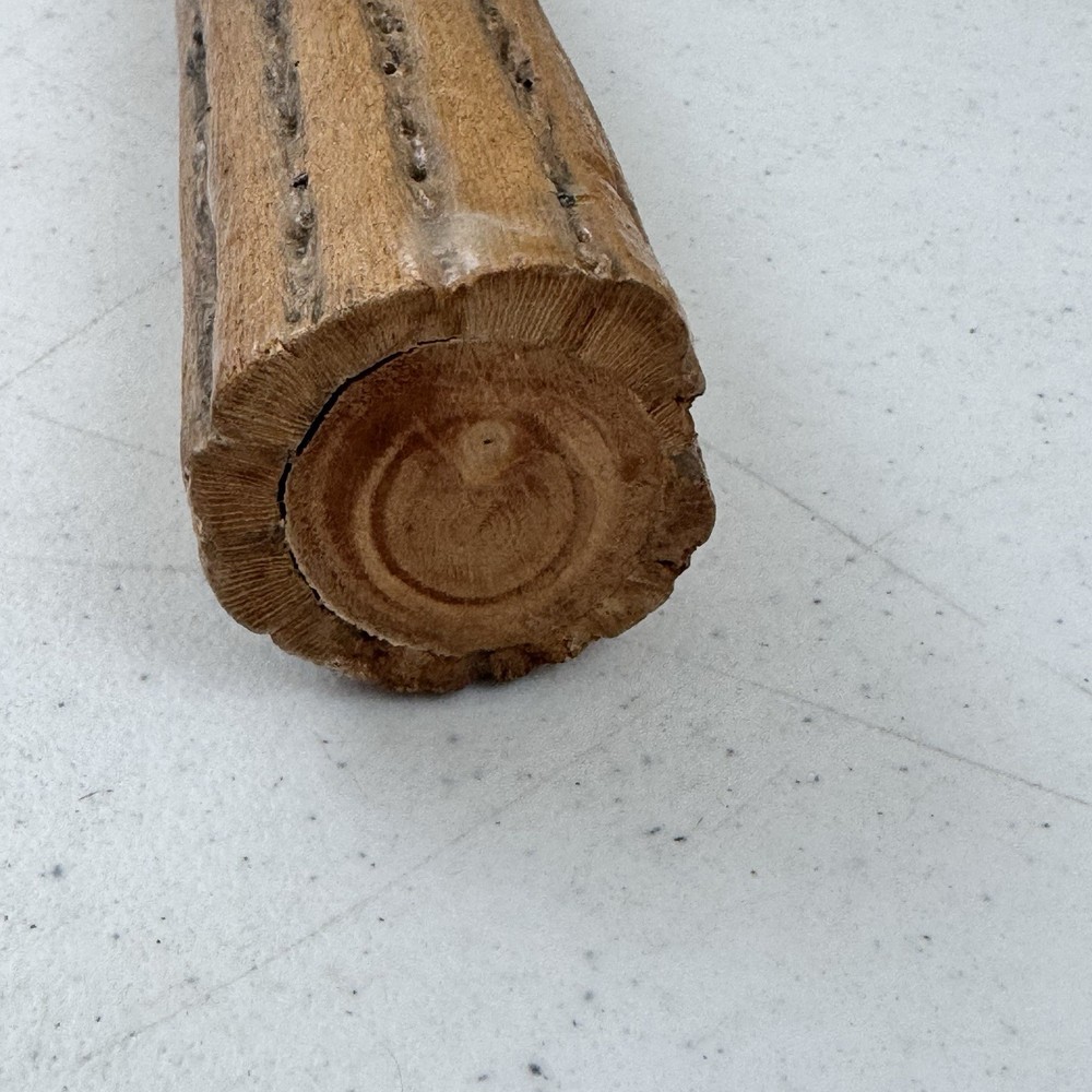 Cactus Rain Stick Curved 20” Made Chile