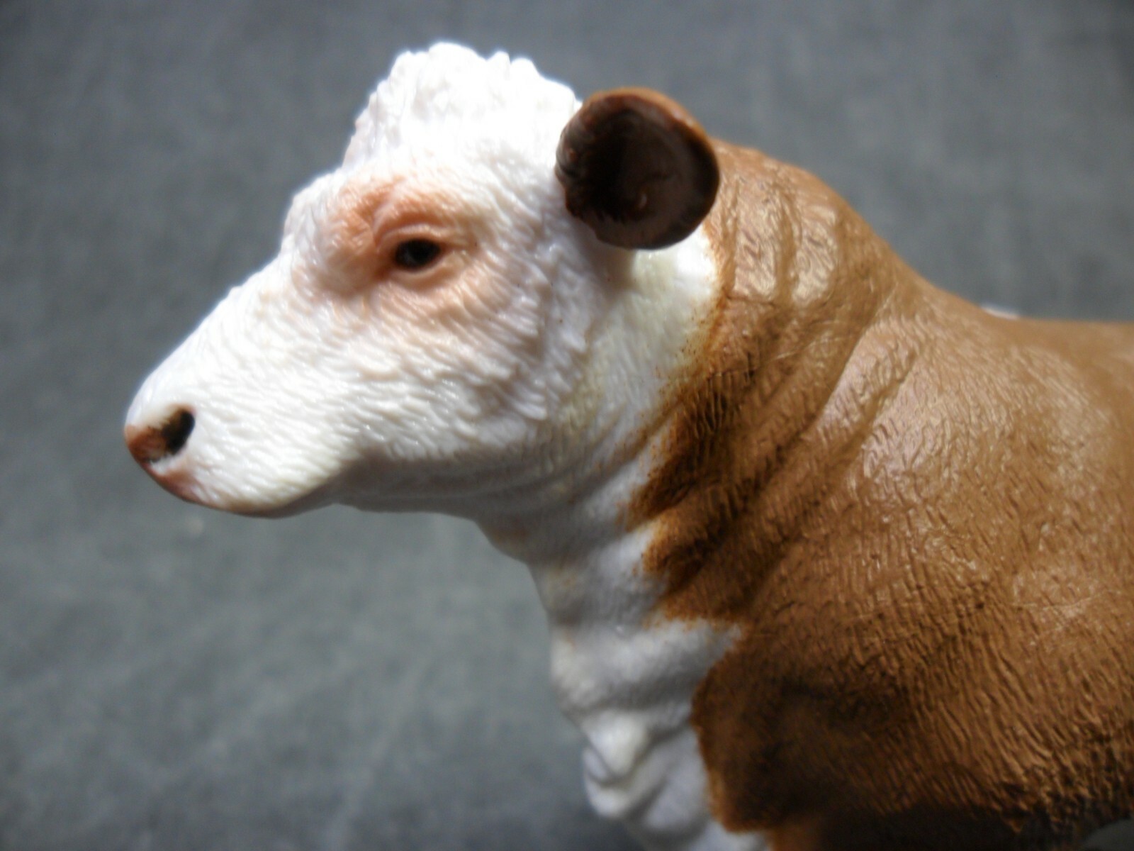 CollectA NIP * Polled Hereford Bull * 88861 Breyer Cow Model Toy Figurine