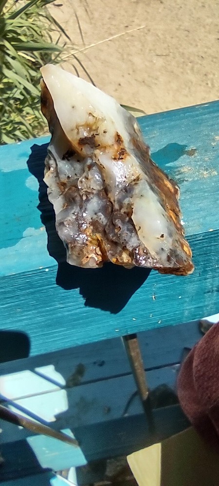 Agate Graveyard Point Specimen Rough Many Possibilities Display Collect