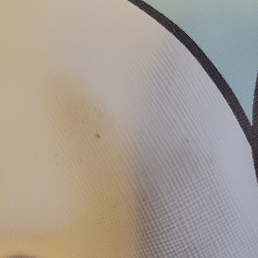 Cinderella Tote Bag Fab NY Disney Princess