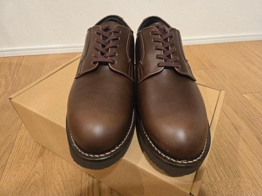 Danner POSTMAN WP Dark Brown 25.5