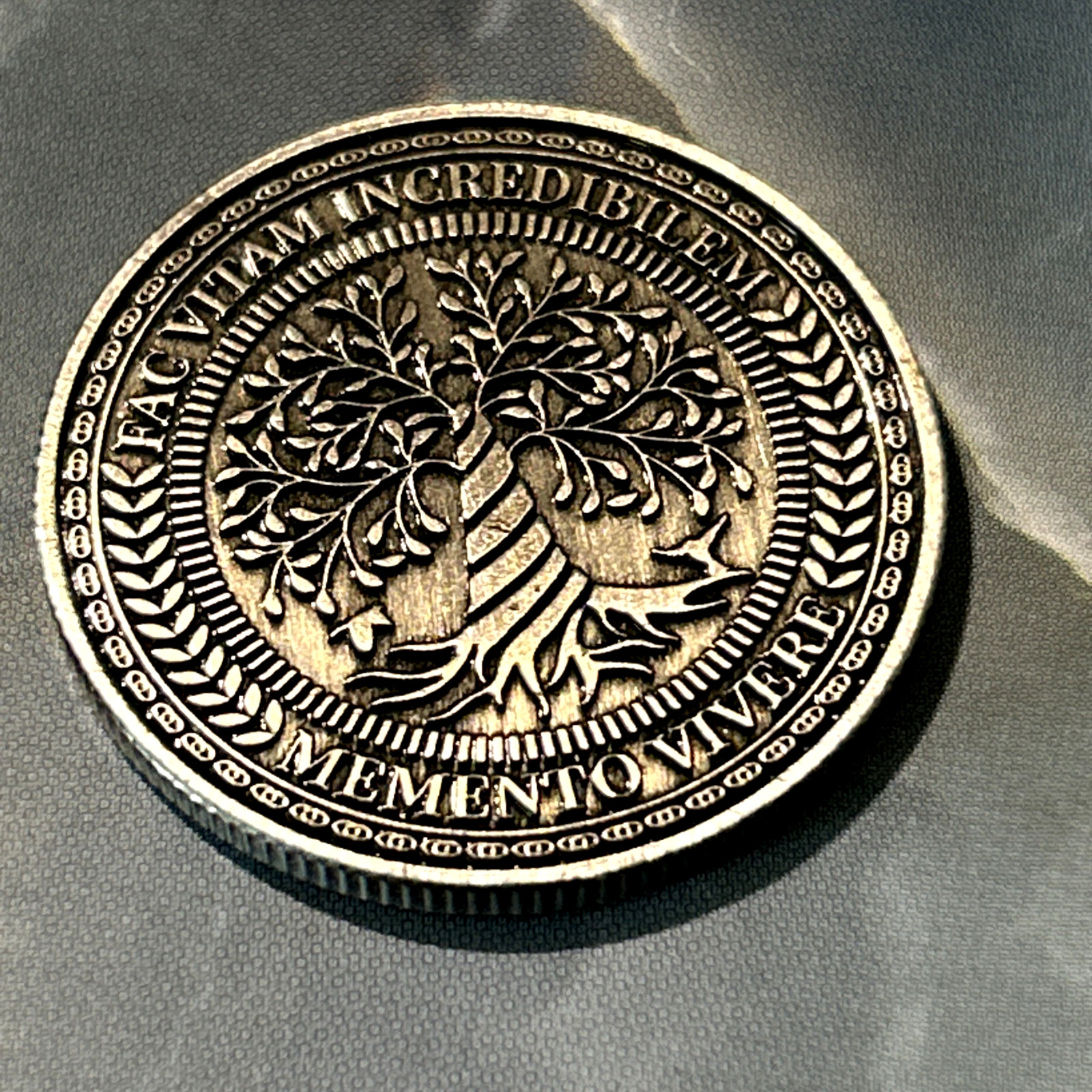 Memento Mori - Tempus Fugit Skull Lucky Pocket Piece Coin (1 PC)