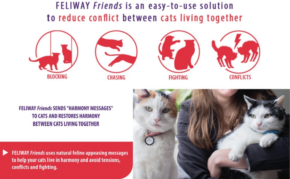 FELIWAY Friends Diffuser Refill Cat Calming Pheromones 48ml Lasts 30 Days *3
