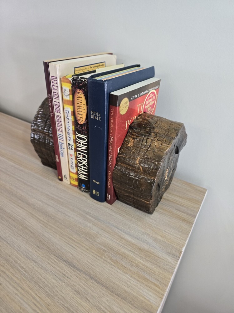 Petrified Wood Book Ends Glossed