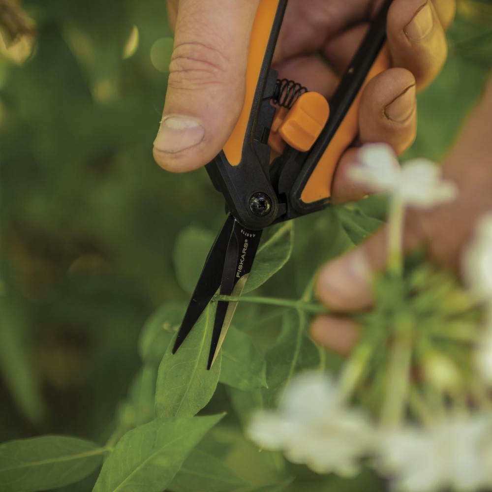 Fiskars 6" Pruning Scissors (2-Pack) Non-Stick Blades 2 Pack Orange, Orange