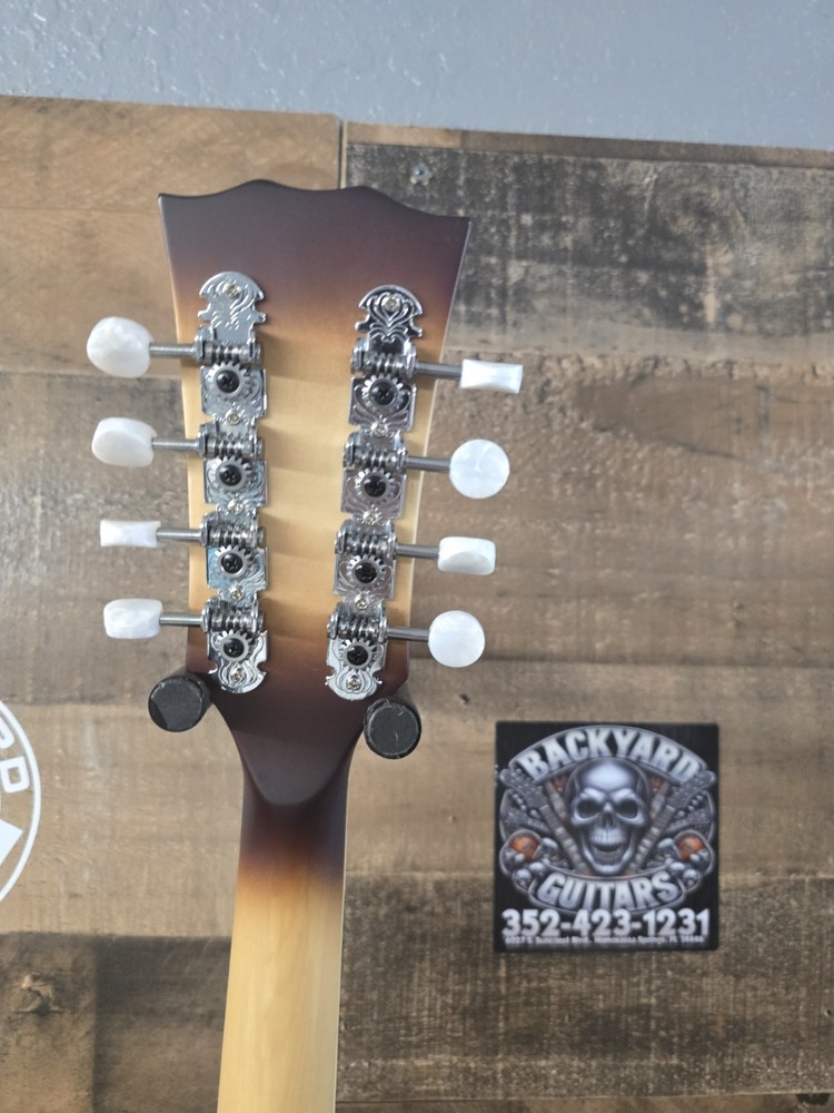 Mcneela ElectroMandolin Clean