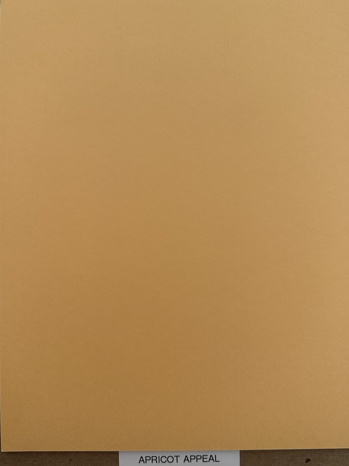 Stampin’ Up! "(8) NEW SHEETS 8.5 x 11 CARDSTOCK" YOU CHOOSE! *Retired Colors*