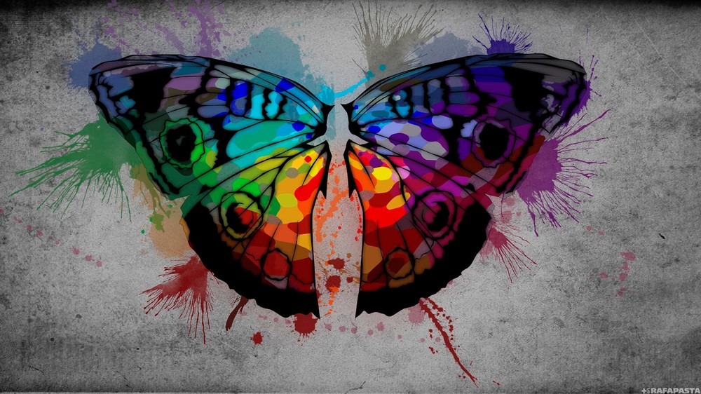 Graphic Design Suite-Photo-Image-Vector-Art-Drawing-Video Editing Software-DVD