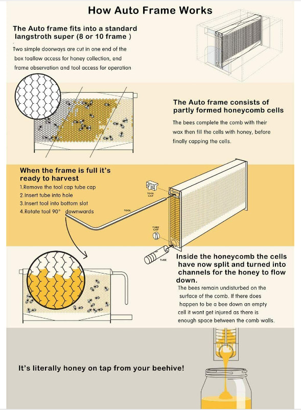 7x Auto Bee Frames Honey Plastic Beehive Frames for Brood Beekeeping Box House