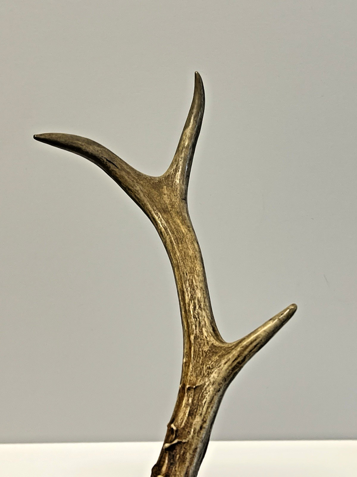 Antique Original Native American Indian Ceremonial Deer Antler Brush;