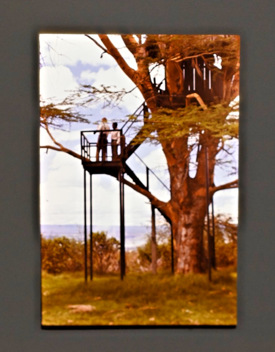 Vintage 1986 Kenya Safari Slides 120 Lot Wildlife Tribal Photo