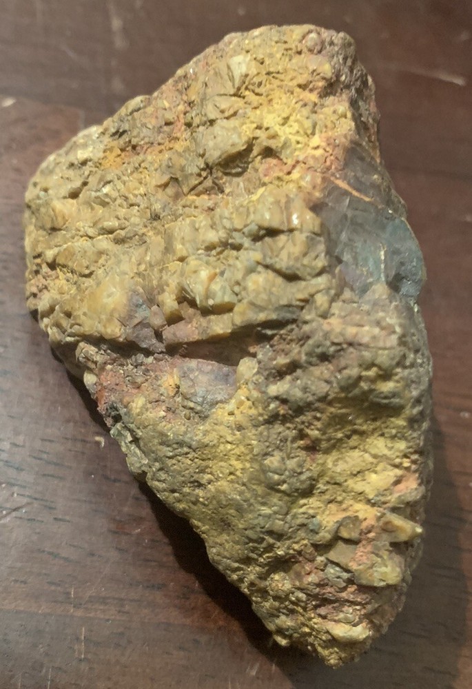 opalized petrified wood Arkansas Fossilized Agate