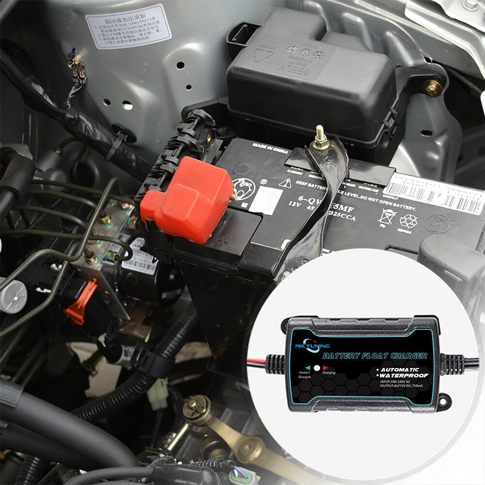 1Set MICTUNING 6V 12V 750mA Automatic Battery Float Charger Maintainer Trickle