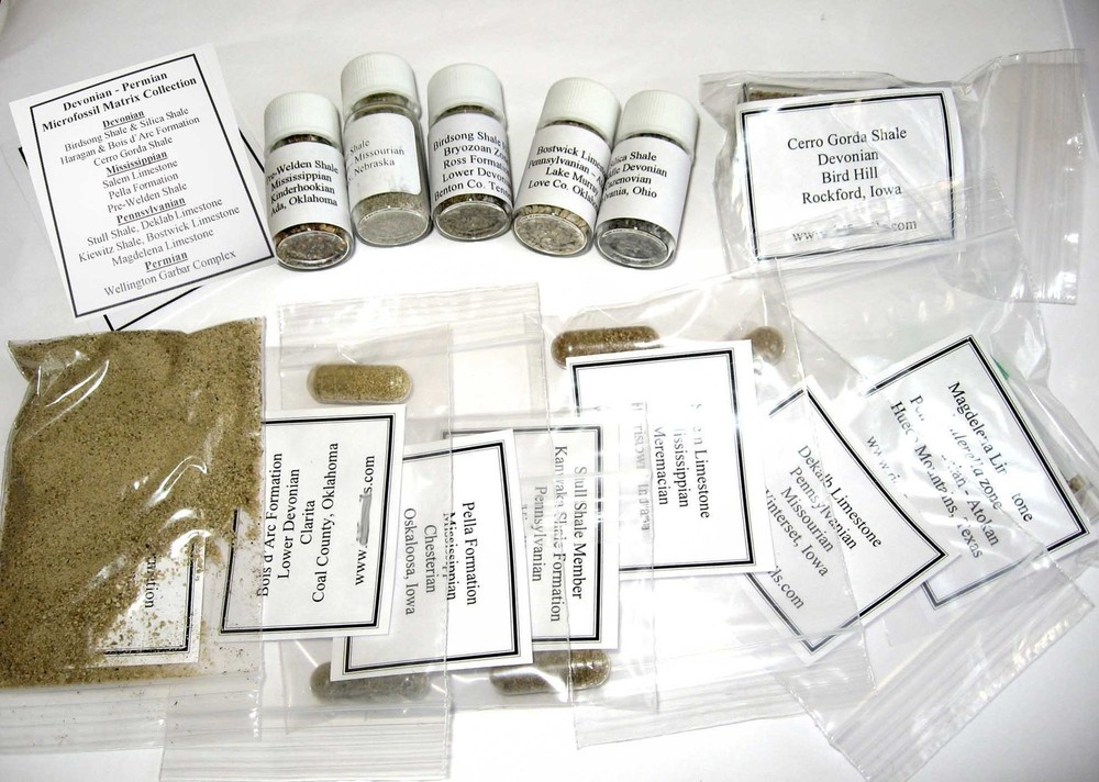 Devonian - Permian microfossil matrix ostracods foraminifera fossils 13 samples