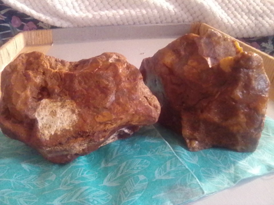 Petrified Wood
