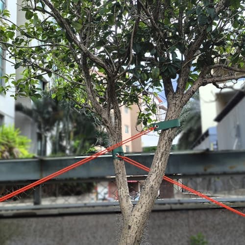 8 Pack Tree Straps for Staking, Premium Quality Tree Support Straps for Newly