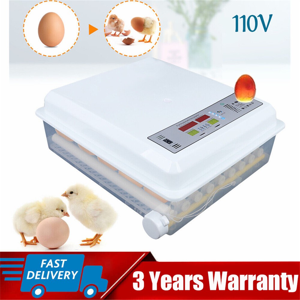 64-Egg Digital Incubator with Temperature Control & Automatic Turner