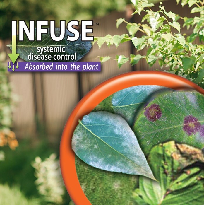 Bonide # 148 16 oz. Infuse Systemic Plant Disease Control Concentrate
