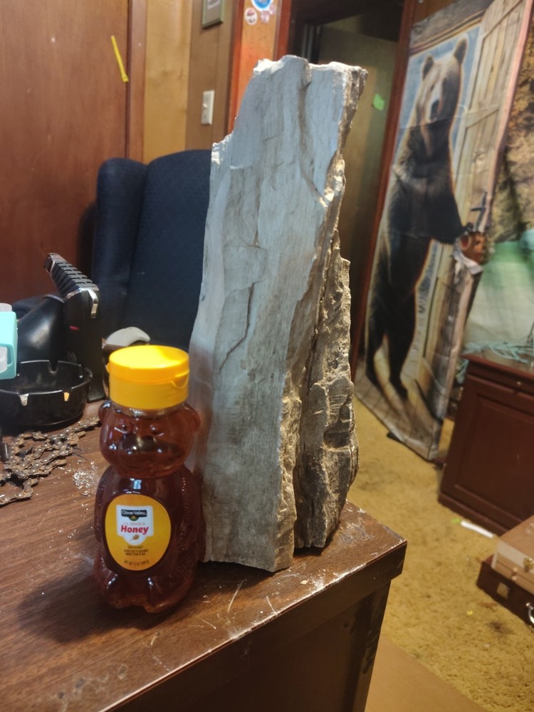 petrified wood