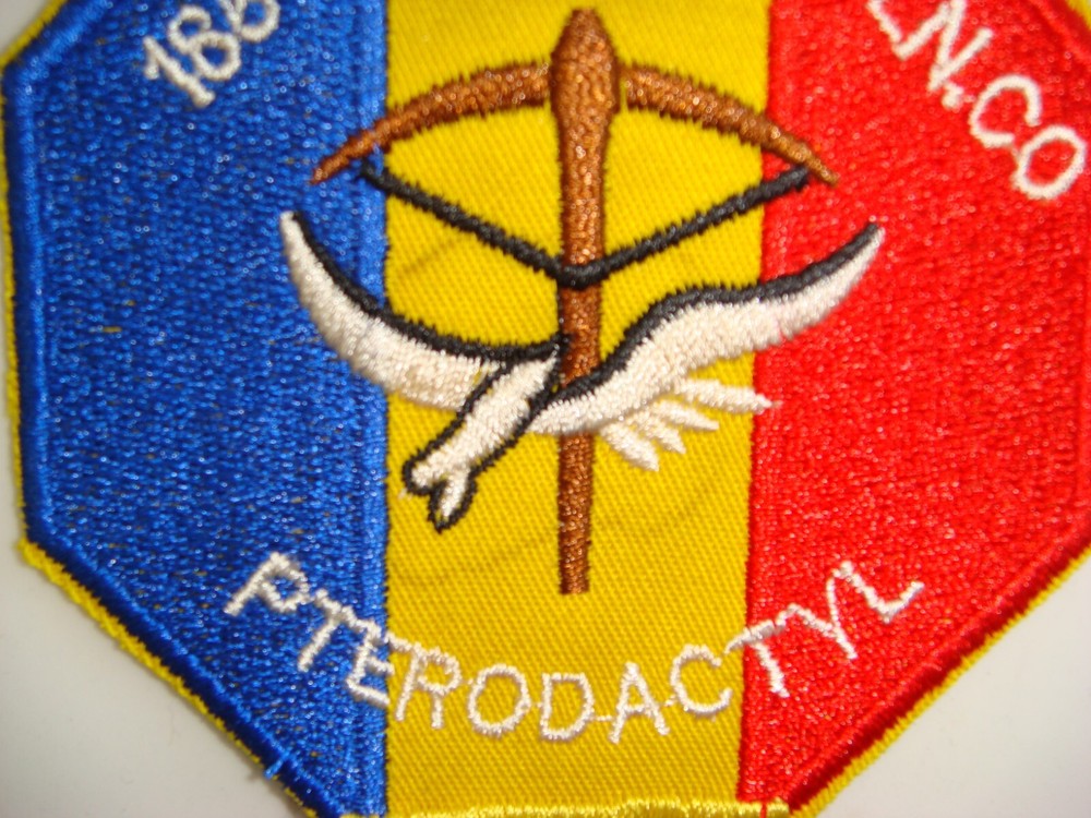 US 185th RECON AIRPLANE COMPANY "PTERODACTYL", VIETNAM WAR PATCH
