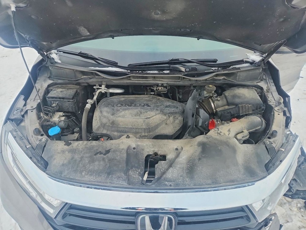 ODYSSEY 2022 Glove Box 806048