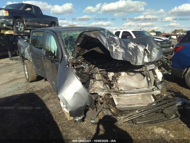 COLORADO 2019 Camera/Projector 1334254