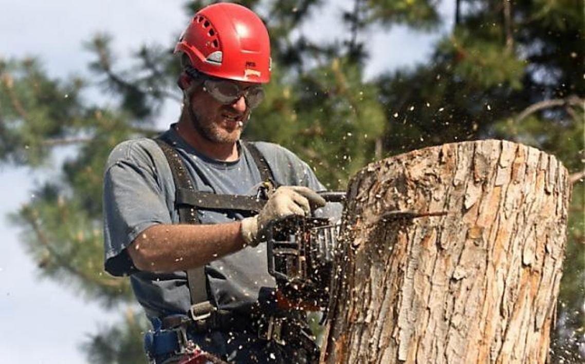 Bugz-Eye Sight Shield Steel Mesh Anti Fog Forestry Safety Goggles - 20 Mesh