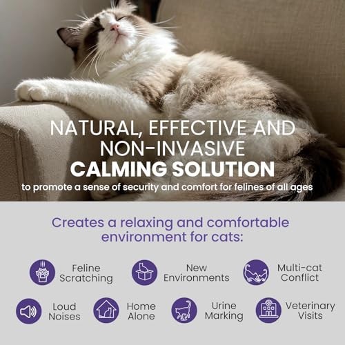 Calming Pheromone Diffuser Refills for Cats, 6-Pack, Odorless & Long-Lasting - R